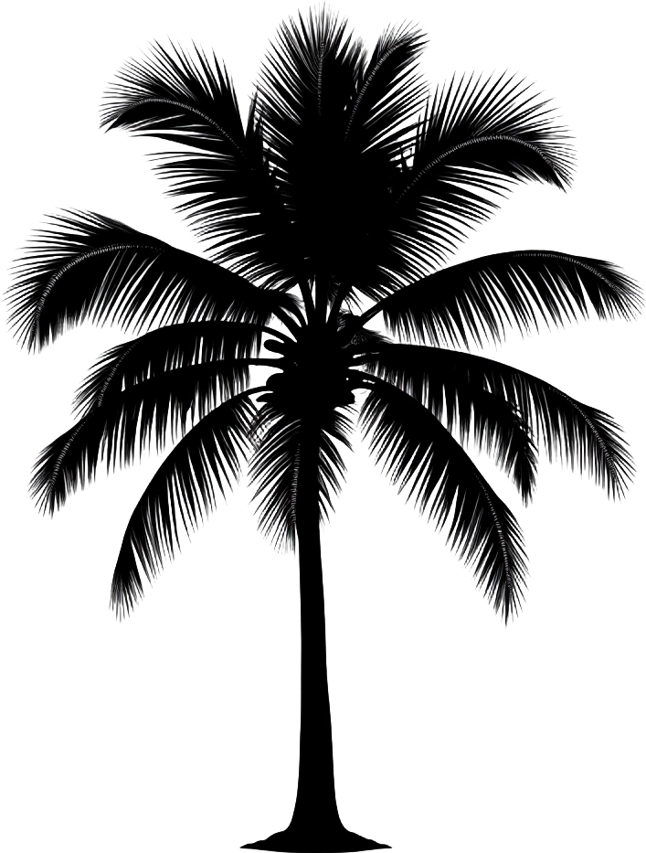 Monochrome Palm Tree Silhouette